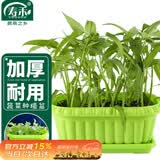 寿禾 种菜盆阳台家庭蔬菜种植方形盆 长形蔬菜种植盆(绿色)组合装2个
