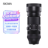 适马（SIGMA）100-400mm F5-6.3 DG DN OS｜Contemporary 全画幅无反 微单 长焦镜头（索尼卡口）