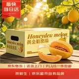 京鲜生 黄金哈密瓜 2粒 单果2.5斤起 净重6-8斤 生鲜水果端午礼盒