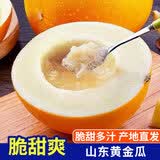 琪江果山东黄金蜜瓜 黄河蜜瓜当季新鲜水果整箱 黄金瓜净重4-5斤1-2个