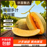 正宗哈密瓜西州蜜大果甜瓜新鲜采摘蜜瓜脆甜多汁整箱 哈密瓜带箱5斤（2-3粒装）