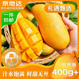 京地达海南金煌芒芒果 净重8.1斤 单果400g+ 京东自营水果源头直发包邮