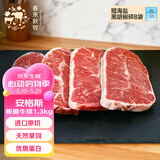 春禾秋牧 阿根廷原切草饲板腱牛排1.3kg/7-13片 牛肉生鲜冷冻 低脂健身