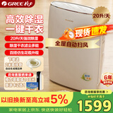 格力（GREE）【干衣除湿】除湿机抽湿机家用20升/天单间≤40㎡低噪除潮回南天除霉干衣智能控湿24H定时DH20EF