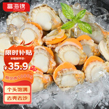 富海锦冷冻带黄扇贝肉 净重2斤150-190粒 粉丝火锅烧烤食材海鲜贝类送礼