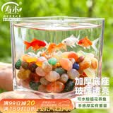 寿禾 玻璃瓶水培植物桌面盆栽加厚透明插花瓶 12*12cm方形水培玻璃瓶