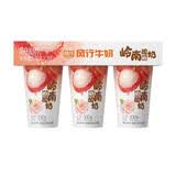 风行牛奶 牛在身边·奶更新鲜 风行 FENGXING MILK风行 乐悠荔枝山茶花酸奶170g*3