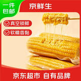 京鲜生东北黄玉米棒200g×8棒25年新玉米 真空黏玉米 多种包装 源头直发