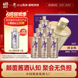 潭酒 潭金酱 酱香型白酒 39度  500ml*6瓶 整箱装