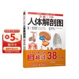 全新3D人体解剖图 人体肌肉解剖运动解剖学断层局部图谱解剖书教材卫生解剖生理学专业基础 医学书解剖图谱 200余幅全彩精密图谱人体解剖学书
