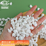 寿禾 白石子小石头多肉盆栽鱼缸造景绿植装饰 6-9mm白卵石500g