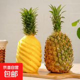 【精选好果】广东徐闻菠萝新鲜水果生鲜香水菠萝金钻百果园特产 净重9斤 大果1.6-1.8斤（5-6个）
