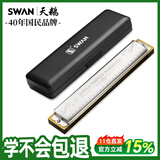 天鹅（SWAN）24孔复音演奏口琴C调音位标注学生成人教学推荐乐器银色