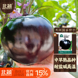 北蔬 圆茄子种子苗紫黑特大南北方种植四季蔬菜种籽 黑硕圆茄种子50粒
