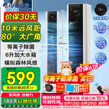 格力（GREE）【等离子除菌】遥控冷风空调扇制冷风扇加湿家用冷风机香薰水冷降温冷气扇KS-06S70Dbg