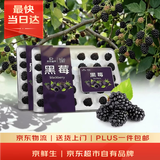 京鲜生 黑莓 2盒装 约110g/盒 新鲜水果