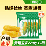 SHIYUEDAOTIAN十月稻田黄糯玉米220g*11支寒地黑土真空锁鲜低脂粗粮食材粘GJ 十月稻田黄糯玉米220g*12支