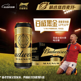 百威黑金啤酒500ml*12整箱装焦香醇厚京东自营踏春送礼