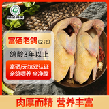 硒全食美无抗富硒老鸽 净重400g*2只 冷冻 鸽子生鲜煲汤烧烤鸽子肉鸽