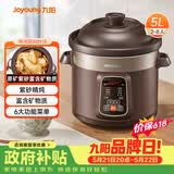 九阳（Joyoung）电炖锅电炖盅5L大容量紫砂预约电砂锅 多功能锅 智能定时精炖煮粥煲汤锅DG50Z-GD510