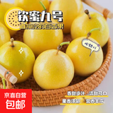 京喜加广西钦蜜9号黄金百香果青果发货当季新鲜大果黄皮果奶茶店水果 【中果5斤】约35-40个
