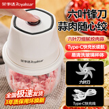 荣事达绞肉机小型料理机电动打蒜器捣蒜泥神器蒜蓉机搅蒜器蒜泥捣碎器 【六叶刀】玻璃杯+旋风绞打 0.35L
