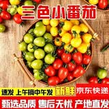 京地达山东寿光圣女果小番茄三色组合酸甜口净重3斤源头直发包邮