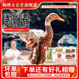 杨博士皖南整只老鸭2只 净重4斤 农家散养土鸭溪水河鸭肉源头直发