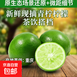 新鲜现摘四川青柠檬茶饮搭档 青柠檬2粒装-单果净重60克+