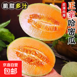 京喜加海南哈密瓜水果现货正宗保甜当季新鲜水果脆甜晓蜜哈密瓜 精选2-3斤（1颗装）净重1.5斤-2.5斤