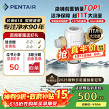 滨特尔（pentair）前置过滤器大通量家用全屋自来水管道过滤器大流量净水器排行前十名水驱涡轮+反冲洗刮洗净水器 【上门安装】S160大通量-40μm
