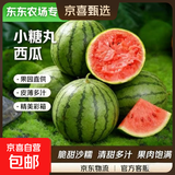 【东东农场专供】全美甘肃2K小糖丸西瓜 2K小糖丸2-3斤净重2斤+