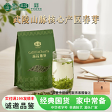 采花毛尖毛尖绿茶【2026新茶】春芽（金标）明前芽茶特级实惠自己喝 采花春芽金标100g*1袋
