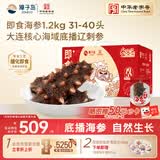 獐子岛 大连即食海参1.2kg 31-40只 固形物90%以上 海鲜水产送礼礼盒