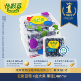 怡颗莓Driscoll's 云南蓝莓14mm+ 4盒装 约125g/盒 新鲜水果