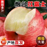 鲜声烟台苹果栖霞红富士新鲜水果时令生鲜山东特产脆甜整箱苹果礼盒 净重8.5斤红富士单果225g