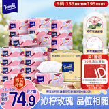 得宝（TEMPO）有香抽纸 沁柠玫瑰味 4层加厚80抽*30包 S码 湿水柔韧 纸巾