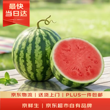 京鲜生 麒麟无籽西瓜 1粒装 净重8-10斤 生鲜水果