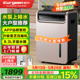 欧井（Eurgeen）除湿机/抽湿机 除湿量50升/天 泵压排水 回南天家用地下室别墅商用工业净化净味吸湿器 OJ-550EP