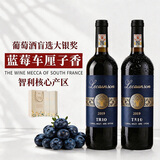 朗柏特智利进口红酒双支中央山谷干红葡萄酒原酒进口750ml*2礼盒装