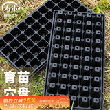 寿禾 育苗穴盘种子发芽盘扦插容器多肉育苗箱 育苗盘穴盘50孔25片