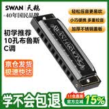 天鹅（SWAN）10孔布鲁斯口琴C调学生儿童初学者入门蓝调口琴乐器黑色