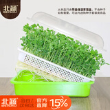 北蔬 育苗盘育苗发芽盆水培蔬菜保温带盖苗菜无土栽培 加深育苗盘2个