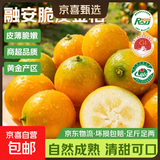 广西融安金桔当季新鲜水果柑橘脆蜜滑皮金柑年货送礼物产地直发 【6号果】净重3斤（分享装）