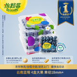 怡颗莓Driscoll's 云南蓝莓Jumbo大果18mm+ 4盒约125g/盒 新鲜水果