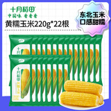 SHIYUEDAOTIAN十月稻田黄糯玉米220g*11支寒地黑土真空锁鲜低脂粗粮食材粘GJ 十月稻田黄糯玉米220g*22支