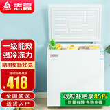 志高（CHIGO）小冰柜家用冷冻小型一级节能省电迷你卧式冷藏保鲜储母乳冷柜 【一级能效 全国联保】 106L 单温单门