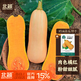 北蔬 南瓜种子种苗甜糯板栗红心四季盆栽蔬菜种籽 奶油南瓜种子20粒