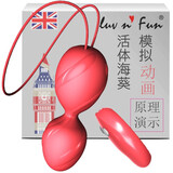 luv n' Fun英国跳蛋女用缩球自慰器生理解压吸震动阴球哑铃锻炼成人情趣用品 【红色款】英式双球跳蛋/缩阴球