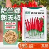北蔬 朝天椒种子超辣小米辣椒四季蔬菜种籽 萨兰娜朝天椒种子100粒